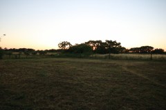 IMG_2764