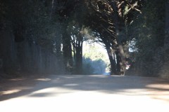 IMG_2806